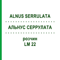 АЛЬНУС СЕРРУЛАТА (ALNUS SERRULATA) LM 22 раствор 10 мл - Гомеопатия ARCANA DR.SEWERIN