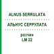 АЛЬНУС СЕРРУЛАТА (ALNUS SERRULATA) LM 22 розчин 10 мл - Гомеопатія ARCANA DR.SEWERIN