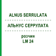 АЛЬНУС СЕРРУЛАТА (ALNUS SERRULATA) LM 24 розчин 10 мл - Гомеопатія ARCANA DR.SEWERIN