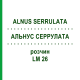 АЛЬНУС СЕРРУЛАТА (ALNUS SERRULATA) LM 26 розчин 10 мл - Гомеопатія ARCANA DR.SEWERIN