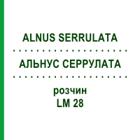 АЛЬНУС СЕРРУЛАТА (ALNUS SERRULATA) LM 28 раствор 10 мл - Гомеопатия ARCANA DR.SEWERIN