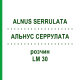 АЛЬНУС СЕРРУЛАТА (ALNUS SERRULATA) LM 30 розчин 10 мл - Гомеопатія ARCANA DR.SEWERIN