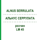 АЛЬНУС СЕРРУЛАТА (ALNUS SERRULATA) LM 45 розчин 10 мл - Гомеопатія ARCANA DR.SEWERIN