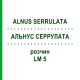 АЛЬНУС СЕРРУЛАТА (ALNUS SERRULATA) LM 5 розчин 10 мл - Гомеопатія ARCANA DR.SEWERIN
