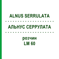 АЛЬНУС СЕРРУЛАТА (ALNUS SERRULATA) LM 60 раствор 10 мл - Гомеопатия ARCANA DR.SEWERIN