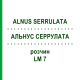 АЛЬНУС СЕРРУЛАТА (ALNUS SERRULATA) LM 7 розчин 10 мл - Гомеопатія ARCANA DR.SEWERIN