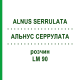 АЛЬНУС СЕРРУЛАТА (ALNUS SERRULATA) LM 90 розчин 10 мл - Гомеопатія ARCANA DR.SEWERIN