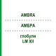 АМБРА (AMBRA) LM XII глобули 5 г - Гомеопатия DHU