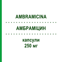 АМБРАМИЦИН (AMBRAMICINA) 250 мг капсулы 16 шт - Тетрациклин SCHARPER