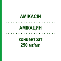АМИКАЦИН (AMIKACIN) 250 мг/мл концентрат 10x2 мл - Амикацин DR.FRIEDRICH EBERTH