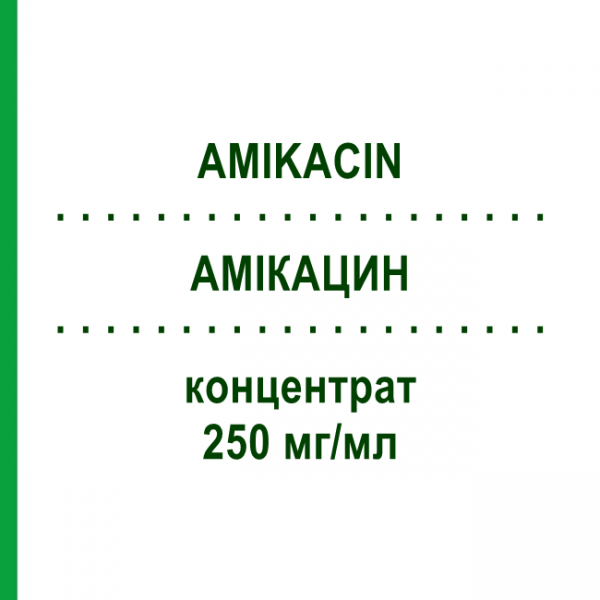 АМИКАЦИН (AMIKACIN) 250 мг/мл концентрат 10x2 мл - Амикацин DR.FRIEDRICH EBERTH
