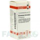 АММОНИУМ БРОМАТУМ (AMMONIUM BROMATUM) D 12 глобули 10 г - Гомеопатия DHU