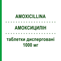 АМОКСИЦИЛЛИН (AMOXICILLINA) 1000 мг таблетки диспергируемые 12 шт - Амоксициллин KRKA FARMACEUTICI