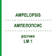 АМПЕЛОПСИС (AMPELOPSIS) LM 1 раствор 10 мл - Гомеопатия ARCANA DR.SEWERIN
