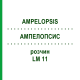 АМПЕЛОПСИС (AMPELOPSIS) LM 11 раствор 10 мл - Гомеопатия ARCANA DR.SEWERIN