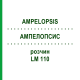 АМПЕЛОПСИС (AMPELOPSIS) LM 110 раствор 10 мл - Гомеопатия ARCANA DR.SEWERIN