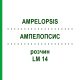 АМПЕЛОПСИС (AMPELOPSIS) LM 14 раствор 10 мл - Гомеопатия ARCANA DR.SEWERIN