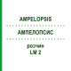 АМПЕЛОПСИС (AMPELOPSIS) LM 2 раствор 10 мл - Гомеопатия ARCANA DR.SEWERIN