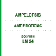 АМПЕЛОПСИС (AMPELOPSIS) LM 24 раствор 10 мл - Гомеопатия ARCANA DR.SEWERIN