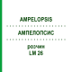 АМПЕЛОПСИС (AMPELOPSIS) LM 26 раствор 10 мл - Гомеопатия ARCANA DR.SEWERIN