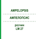 АМПЕЛОПСИС (AMPELOPSIS) LM 27 раствор 10 мл - Гомеопатия ARCANA DR.SEWERIN