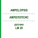 АМПЕЛОПСИС (AMPELOPSIS) LM 29 раствор 10 мл - Гомеопатия ARCANA DR.SEWERIN