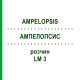 АМПЕЛОПСИС (AMPELOPSIS) LM 3 раствор 10 мл - Гомеопатия ARCANA DR.SEWERIN