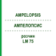 АМПЕЛОПСИС (AMPELOPSIS) LM 75 раствор 10 мл - Гомеопатия ARCANA DR.SEWERIN