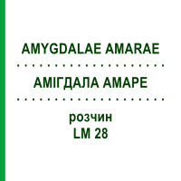АМИГДАЛА АМАРЕ (AMYGDALAE AMARAE) LM 28 раствор 10 мл - Гомеопатия ARCANA DR.SEWERIN
