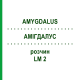 АМИГДАЛУС (AMYGDALUS) LM 2 раствор 10 мл - Гомеопатия ARCANA DR.SEWERIN