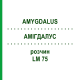 АМИГДАЛУС (AMYGDALUS) LM 75 раствор 10 мл - Гомеопатия ARCANA DR.SEWERIN