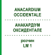 АНАКАРДИУМ ОКСИДЕНТАЛЕ (ANACARDIUM OCCIDENTALE) LM 1 раствор 10 мл - Гомеопатия ARCANA DR.SEWERIN