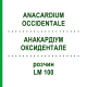 АНАКАРДИУМ ОКСИДЕНТАЛЕ (ANACARDIUM OCCIDENTALE) LM 100 раствор 10 мл - Гомеопатия ARCANA DR.SEWERIN