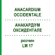 АНАКАРДИУМ ОКСИДЕНТАЛЕ (ANACARDIUM OCCIDENTALE) LM 17 раствор 10 мл - Гомеопатия ARCANA DR.SEWERIN