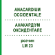 АНАКАРДИУМ ОКСИДЕНТАЛЕ (ANACARDIUM OCCIDENTALE) LM 23 раствор 10 мл - Гомеопатия ARCANA DR.SEWERIN