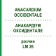 АНАКАРДИУМ ОКСИДЕНТАЛЕ (ANACARDIUM OCCIDENTALE) LM 26 раствор 10 мл - Гомеопатия ARCANA DR.SEWERIN