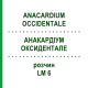 АНАКАРДИУМ ОКСИДЕНТАЛЕ (ANACARDIUM OCCIDENTALE) LM 6 раствор 10 мл - Гомеопатия ARCANA DR.SEWERIN