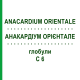 АНАКАРДІУМ ОРІЄНТАЛЕ (ANACARDIUM ORIENTALE) C 6 глобули 1,5 г - Гомеопатія GUDJONS