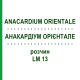 АНАКАРДИУМ ОРИЕНТАЛЕ (ANACARDIUM ORIENTALE) LM 13 раствор 10 мл - Гомеопатия ARCANA DR.SEWERIN