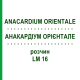 АНАКАРДИУМ ОРИЕНТАЛЕ (ANACARDIUM ORIENTALE) LM 16 раствор 10 мл - Гомеопатия ARCANA DR.SEWERIN