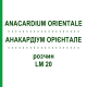 АНАКАРДИУМ ОРИЕНТАЛЕ (ANACARDIUM ORIENTALE) LM 20 раствор 10 мл - Гомеопатия ARCANA DR.SEWERIN