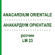 АНАКАРДИУМ ОРИЕНТАЛЕ (ANACARDIUM ORIENTALE) LM 23 раствор 10 мл - Гомеопатия ARCANA DR.SEWERIN