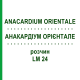 АНАКАРДИУМ ОРИЕНТАЛЕ (ANACARDIUM ORIENTALE) LM 24 раствор 10 мл - Гомеопатия ARCANA DR.SEWERIN