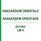 АНАКАРДИУМ ОРИЕНТАЛЕ (ANACARDIUM ORIENTALE) LM 4 раствор 10 мл - Гомеопатия ARCANA DR.SEWERIN