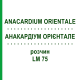 АНАКАРДИУМ ОРИЕНТАЛЕ (ANACARDIUM ORIENTALE) LM 75 раствор 10 мл - Гомеопатия ARCANA DR.SEWERIN