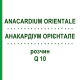 АНАКАРДІУМ ОРІЄНТАЛЕ (ANACARDIUM ORIENTALE) Q 10 розчин 15 мл - Гомеопатія GUDJONS