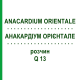 АНАКАРДІУМ ОРІЄНТАЛЕ (ANACARDIUM ORIENTALE) Q 13 розчин 15 мл - Гомеопатія GUDJONS