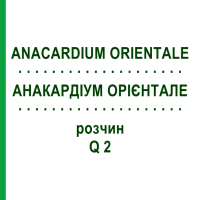 АНАКАРДИУМ ОРИЕНТАЛЕ (ANACARDIUM ORIENTALE) Q 2 раствор 15 мл - Гомеопатия GUDJONS