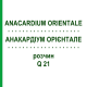 АНАКАРДІУМ ОРІЄНТАЛЕ (ANACARDIUM ORIENTALE) Q 21 розчин 15 мл - Гомеопатія GUDJONS