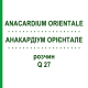 АНАКАРДІУМ ОРІЄНТАЛЕ (ANACARDIUM ORIENTALE) Q 27 розчин 15 мл - Гомеопатія GUDJONS